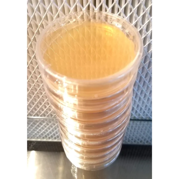 Sorghum Yeast Agar 60mm Plates (10 pack)